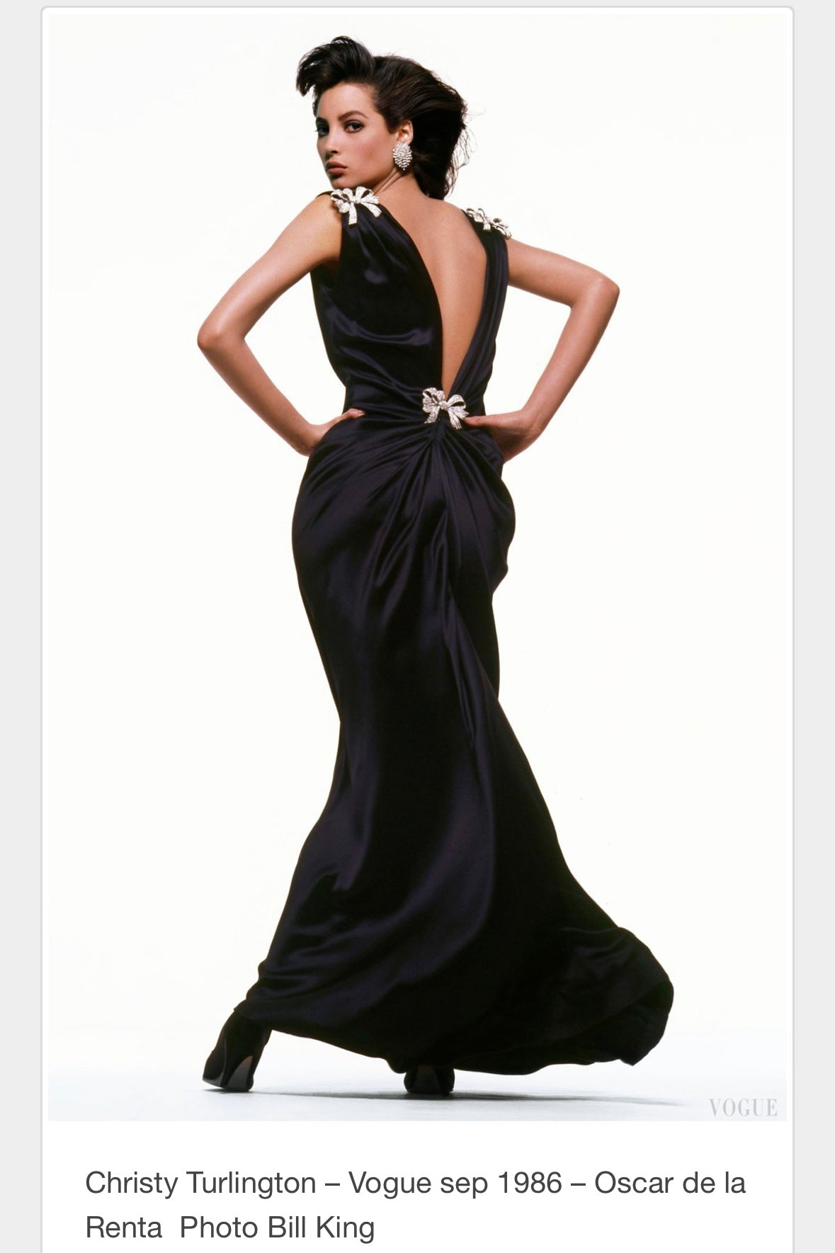1986 Oscar de la Renta Gown & Brooch