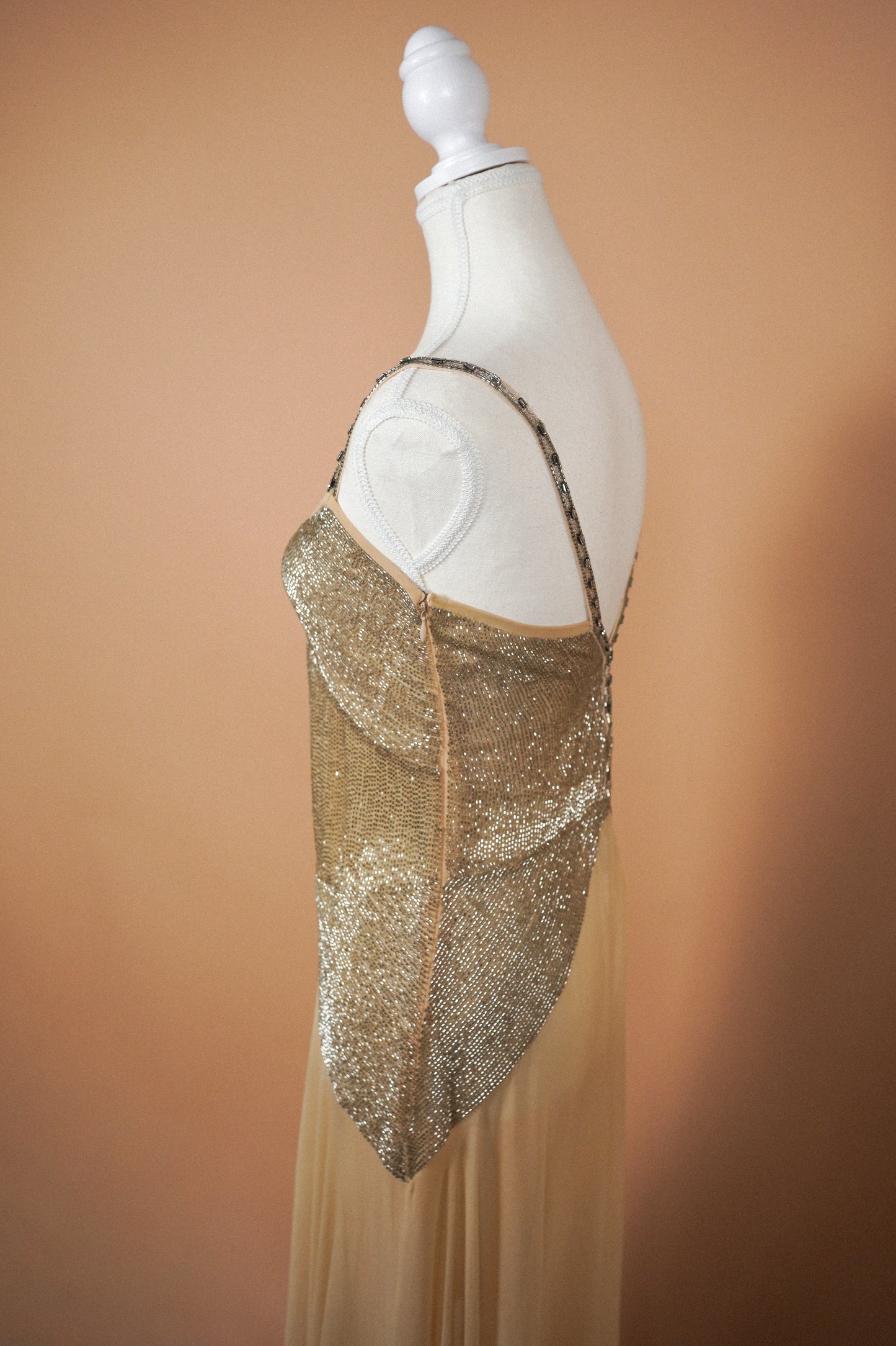 Chloé FW 2005 Champagne Silk Gown (S)