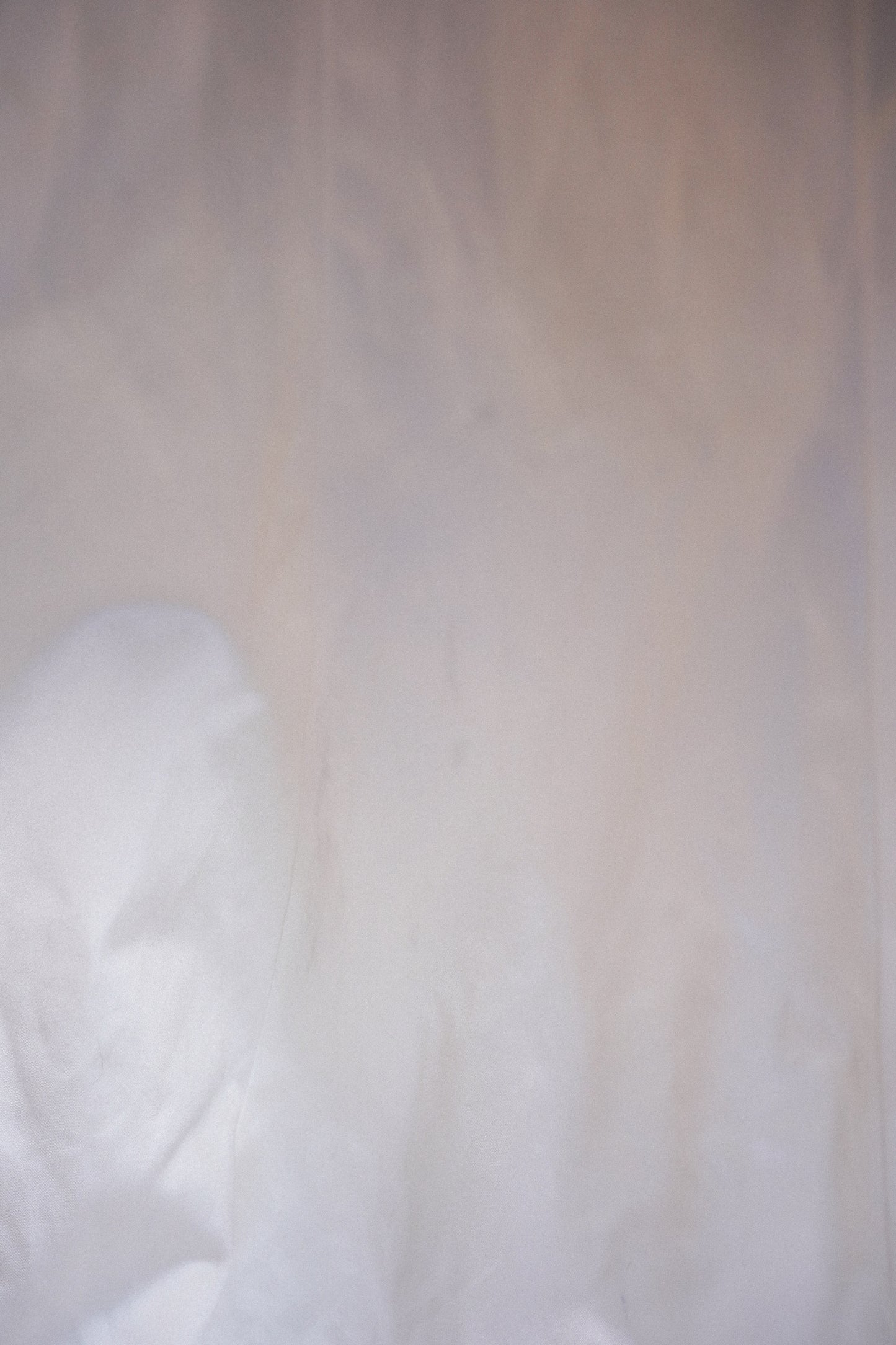 Max Mara Ivory Silk Mermaid Sample Bridal Gown (M)