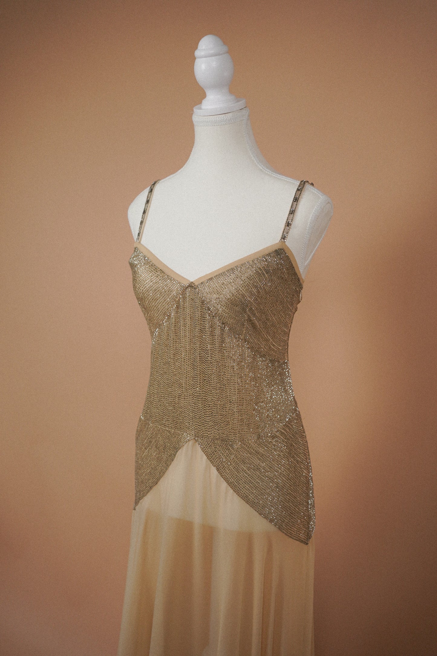 Chloé FW 2005 Champagne Silk Gown (S)