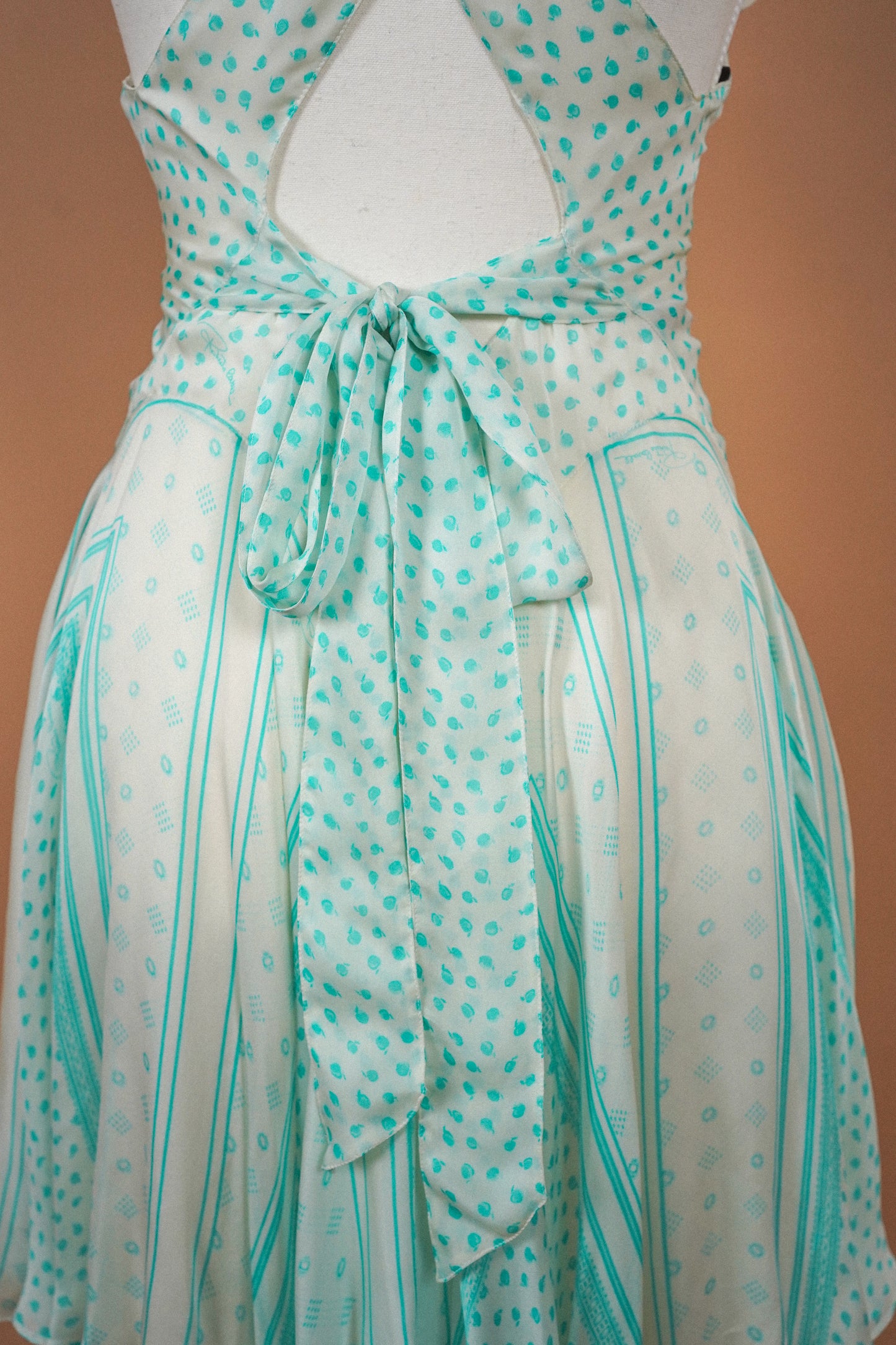 Roberto Cavalli SS 2009 Look 8 Runway Dress (M)