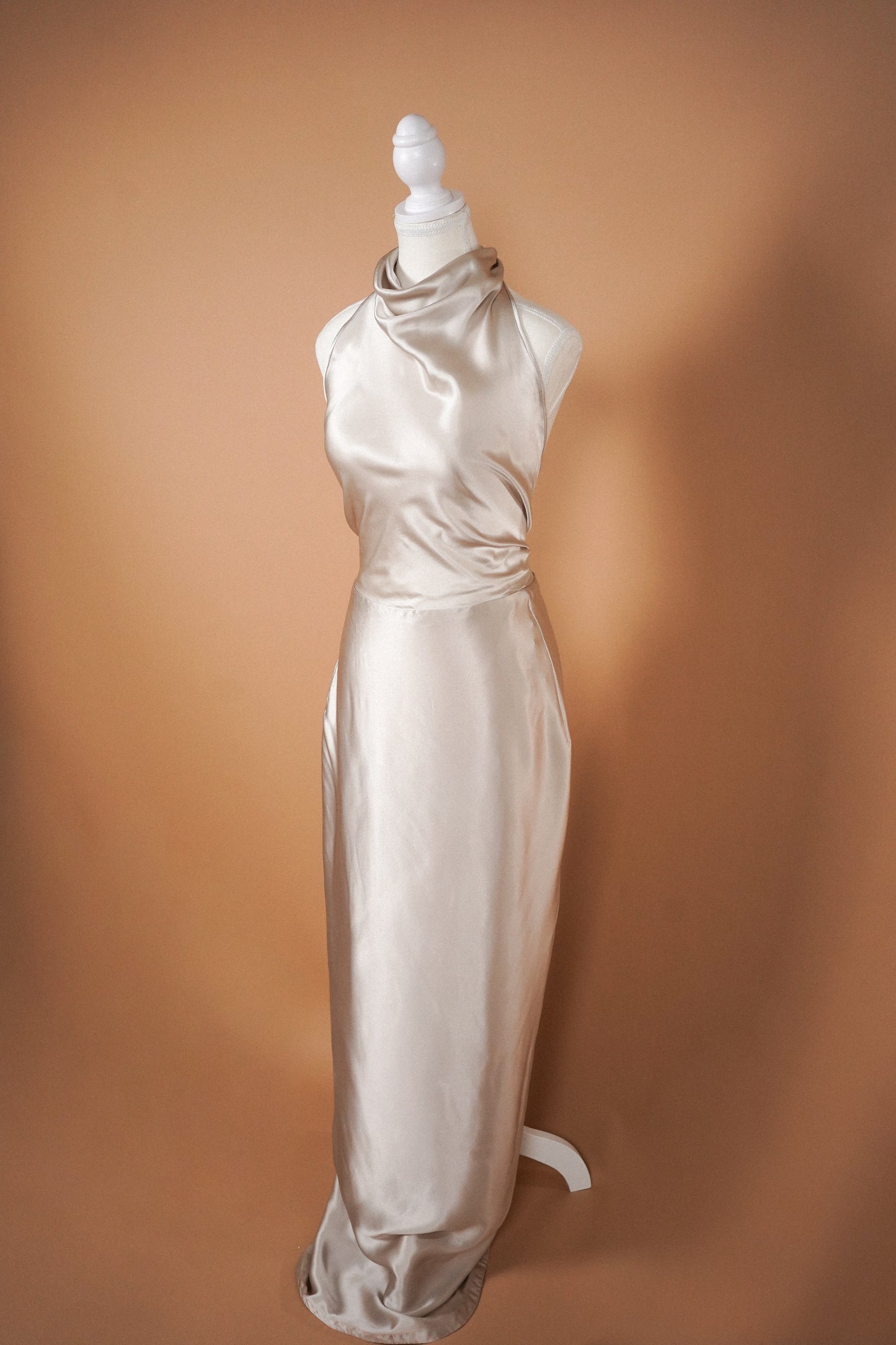 Roberto Cavalli FW 2007 Runway Dress