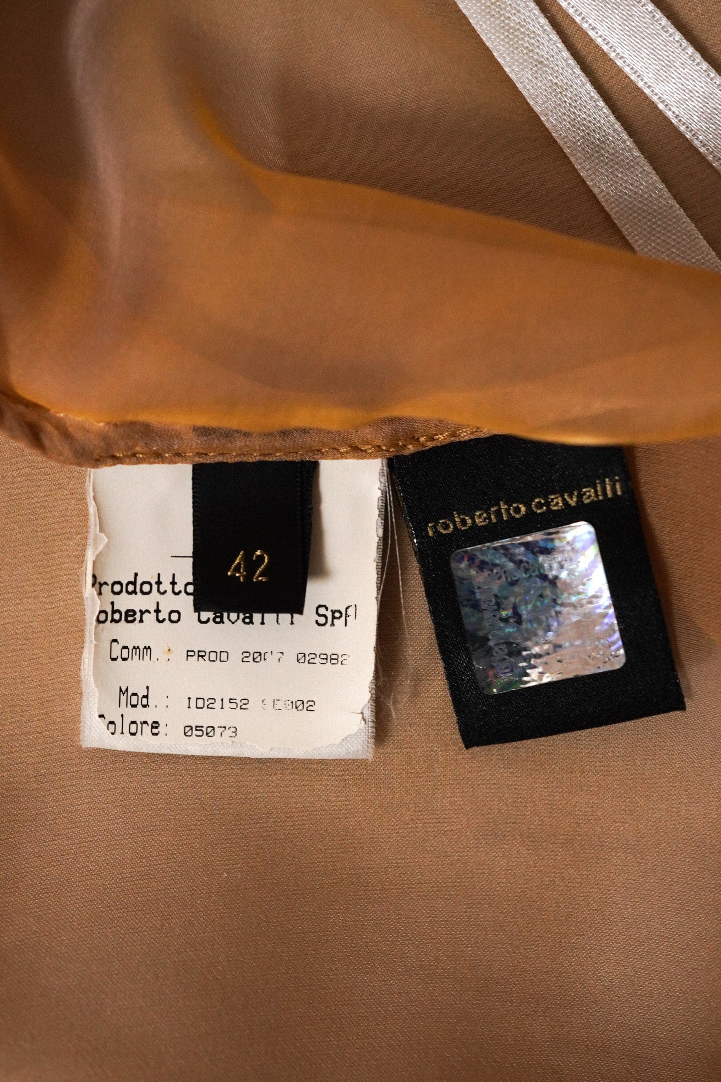 Roberto Cavalli FW 2007 Runway Dress