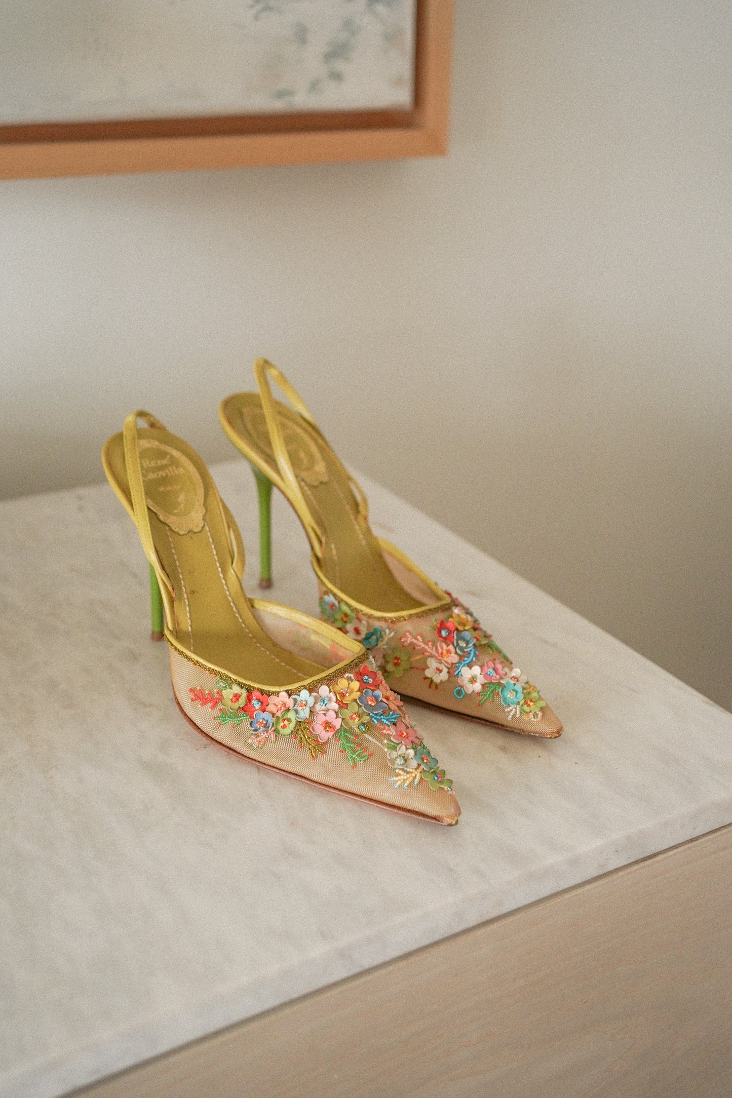 René Caovilla Floral Appliqué Embroidered Slingback Heels (38)