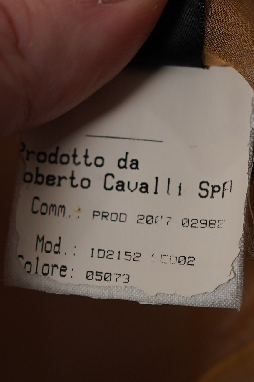 Roberto Cavalli FW 2007 Runway Dress