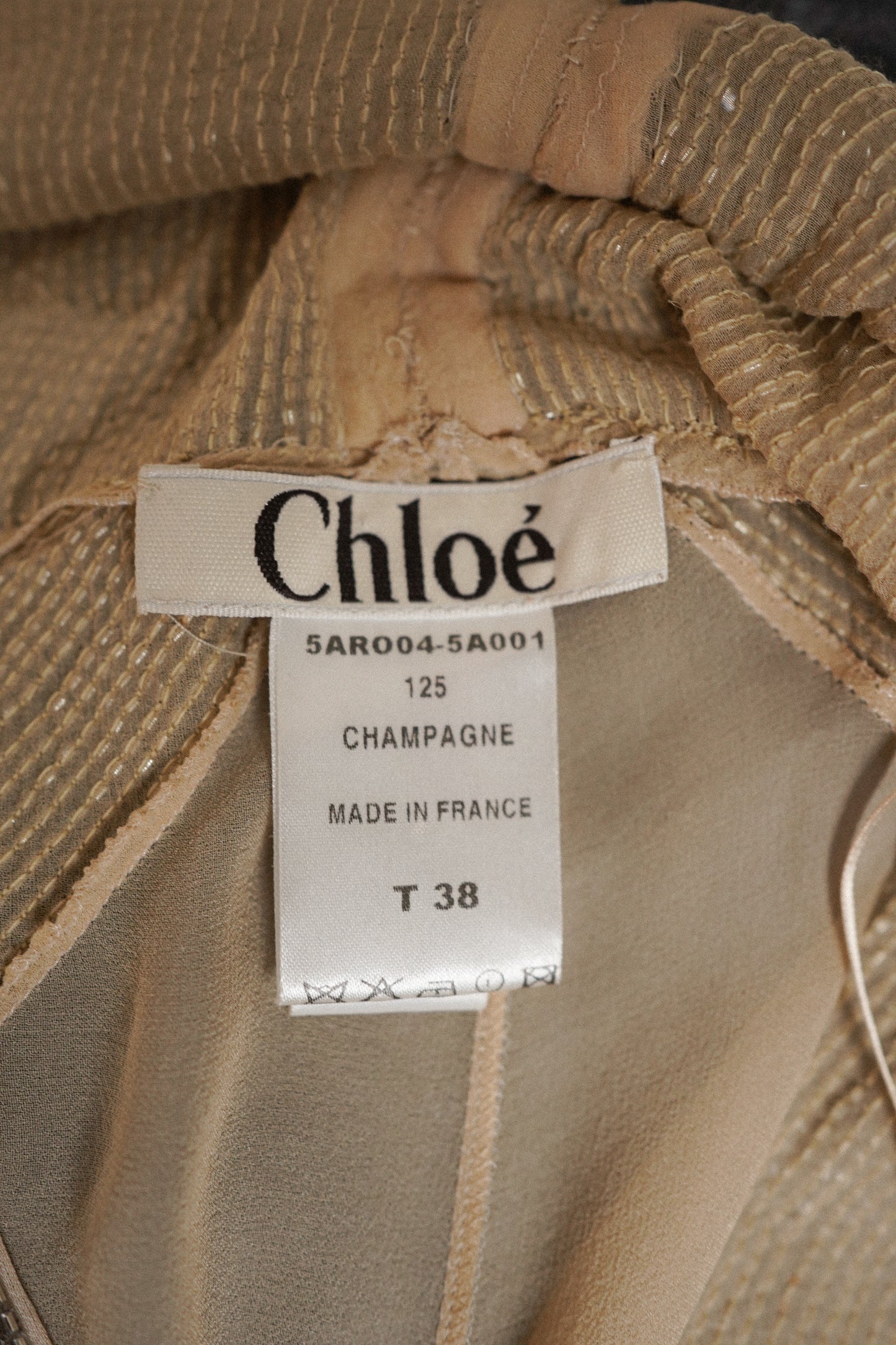 Chloé FW 2005 Champagne Silk Gown (S)