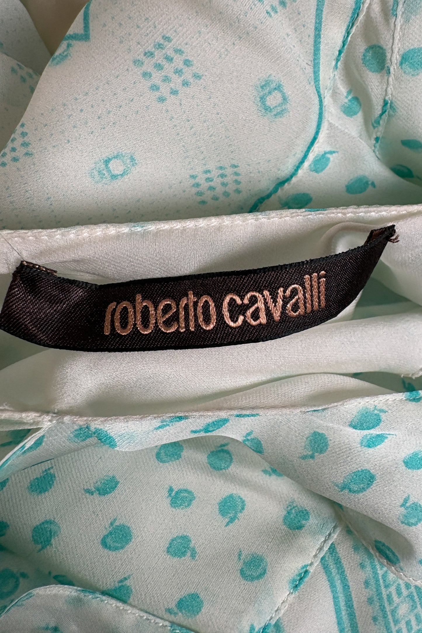 Roberto Cavalli SS 2009 Look 8 Runway Dress (M)